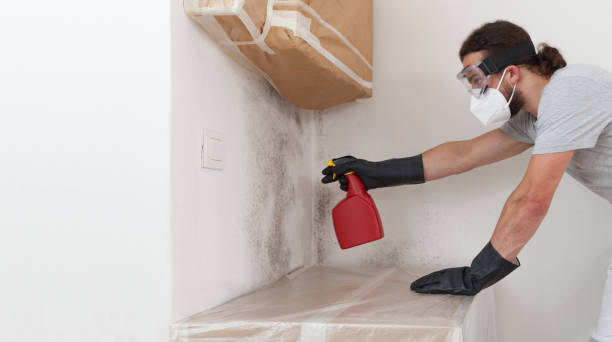 Professional Mold Removal technician working in Lafayette, CO